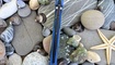 Maxace Red Queen RQAL06 Полтава