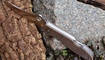 Нож Spyderco Stretch C90 оригинал