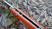 Нож Y-START JIN02 orange2