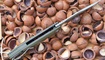 PF-959 GRP