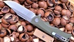Petrified Fish PF-959 Киев