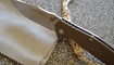 Realsteel H5 Gerfalcon brown2