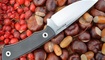 Охотничий нож Real Steel Forager 3750
