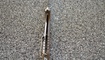 Realsteel H5 Gerfalcon brown5