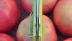 Нож Y-START JIN04 fruit green9