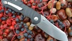 купить Нож Kizer Sovereign V4423A1