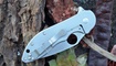 Нож Spyderco Domino C172 недорого
