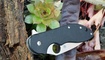 Нож Spyderco Domino C172 какая сталь