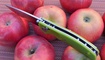 Нож Y-START JIN02 fruit green3