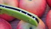 Нож Y-START JIN02 fruit green4
