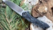 Petrified Fish PF-989 W обзор