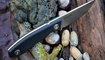 Real Steel Receptor 3550