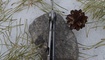 Нож Zero Tolerance 0620 Emerson tanto6
