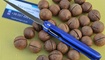 nozh realsteel g5 metamorph mk.2 navy blue kiev kupit