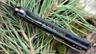 Petrified Fish Forward PF-818 купить в Украине