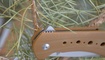 Нож Kizer V4479A2 Kala3