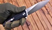 Petrified Fish Forward PF-818 купить