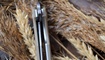 Нож Bestech Knives Lion biege тесты
