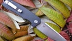 Нож Bestech Knives Lion