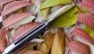 Нож Bestech Knives Lion в Харькове