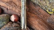 Нож Bestech Knives Grampus desert Ужгород