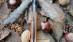 Нож Bestech Knives Swordfish фото