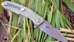 купить Нож Bestech Knives Warwolf desert
