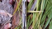 Нож Bestech Knives Warwolf desert Одесса