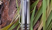 Нож Bestech Knives Warwolf desert Николаев