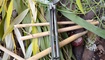 Нож Bestech Knives Warwolf BG04B Луцк