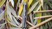 Нож Bestech Knives Warwolf BG04B Луганск
