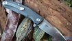 купить Нож Bestech Knives Warwolf