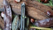 Нож Bestech Knives Warwolf официальный сайт