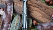 Нож Bestech Knives Warwolf в Харькове