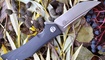 Нож Bestech Knives Scimitar