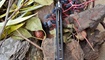Нож Bestech Knives Scimitar в Киеве
