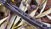 Нож Bestech Knives Scimitar в Харькове