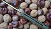 Нож Bestech Knives Kendo green Харьков