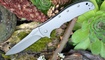 Нож Kershaw Volt II