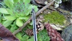 Нож Kershaw Volt II Киев