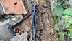 Нож Kershaw Cryo 1555 Киев