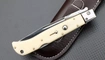 AKC Swinguard Blond horn
