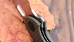 Нож Kizer Roach Mini