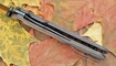 Kizer Rapids цена