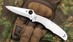 Spyderco C10P Stainless Steel