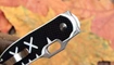 Kizer Cormorant Ki4562
