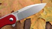 Нож Kizer Assassin