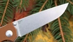 Kizer Domin V4516A4