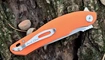 Petrified Fish PF878 Wing
