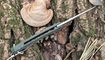 Нож Petrified Fish PF949X Warrior заказать